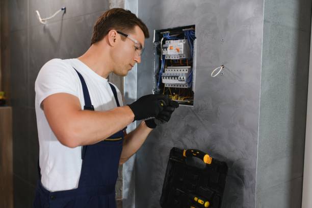 Best Electrical Repair Services  in Waterloo, IL