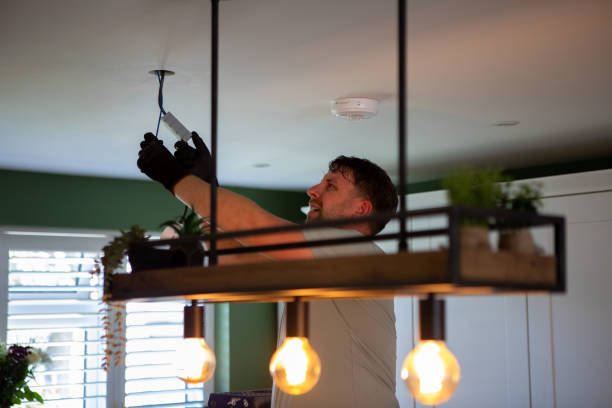 Best Electrician Near Me  in Waterloo, IL